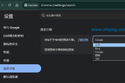谷歌浏览器为什么搜索不了？