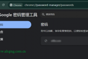 谷歌浏览器密码管理工具打不开怎么办？