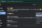 谷歌浏览器DNS在哪里设置？
