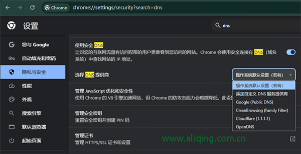 谷歌浏览器DNS设置.png